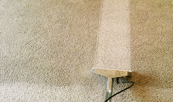 Carpet, Mattress & Rug Cleaning