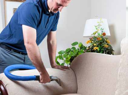 Upholstery & Curtain Cleaning